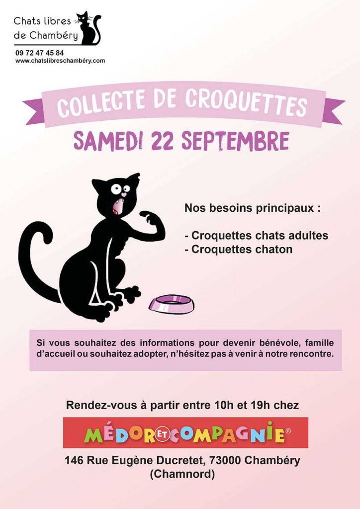 infographiste-print-affiche-chats-libres-chambéry